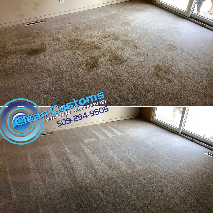 Apartment carpet cleaning Spokane