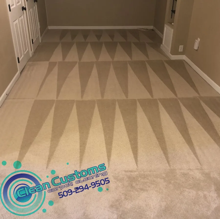 Professional carpet cleaning results in Spangle WA